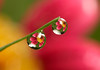 SmugMug > popular all-time > Favorites photo