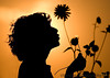 SmugMug > popular all-time > August 16, 2007 - Self-portrait in the Clovis sunset.
No PS.
Back to shooting dailies :) Alaska trip pics slowly being processed and added here with Krishnan writing the story and captions.