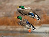 SmugMug > popular all-time > Favorites photo