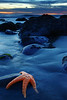 SmugMug > popular all-time > Lazy Starfish - Southern California Beach near Santa Barbara    Feel free to browse around my site.   You might find some interesting and unique things.   Thank you for your interests, they are greatly appreciated.   Take care.

*This is a Limited Edition Print  with sets of 25 to a 100 depending on size.